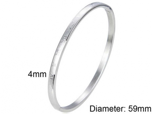 HY Wholesale Bangles Stainless Steel 316L Fashion Bangles-HY0097B094