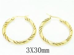 HY Wholesale Earrings Jewelry 316L Stainless Steel Earrings-HY58E1696LQ