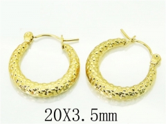HY Wholesale Earrings Jewelry 316L Stainless Steel Earrings-HY70E0647LG