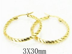 HY Wholesale Earrings Jewelry 316L Stainless Steel Earrings-HY58E1707LG