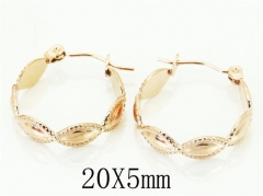 HY Wholesale Earrings Jewelry 316L Stainless Steel Earrings-HY70E0678LE
