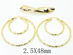 HY Wholesale Earrings Jewelry 316L Stainless Steel Earrings-HY58E1684KD