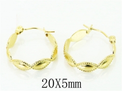 HY Wholesale Earrings Jewelry 316L Stainless Steel Earrings-HY70E0677LW