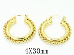 HY Wholesale Earrings Jewelry 316L Stainless Steel Earrings-HY58E1691OR