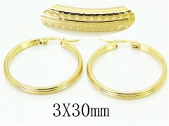 HY Wholesale Earrings Jewelry 316L Stainless Steel Earrings-HY58E1710IL