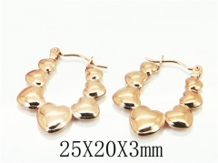 HY Wholesale Earrings 316L Stainless Steel Fashion Jewelry Earrings-HY70E0743LX