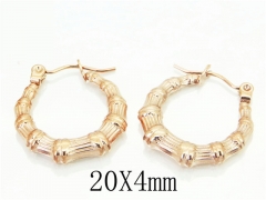 HY Wholesale Earrings 316L Stainless Steel Fashion Jewelry Earrings-HY70E0763LA