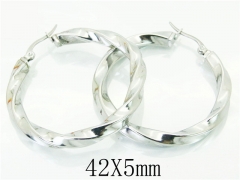 HY Wholesale Earrings 316L Stainless Steel Fashion Jewelry Earrings-HY64E0471OQ