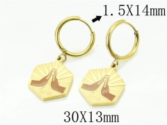 HY Wholesale Earrings 316L Stainless Steel Fashion Jewelry Earrings-HY25E0722HGG