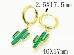 HY Wholesale Earrings 316L Stainless Steel Fashion Jewelry Earrings-HY25E0728HXX