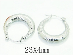 HY Wholesale Earrings 316L Stainless Steel Fashion Jewelry Earrings-HY70E0766KE