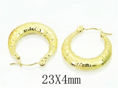 HY Wholesale Earrings 316L Stainless Steel Fashion Jewelry Earrings-HY70E0767LF