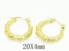 HY Wholesale Earrings 316L Stainless Steel Fashion Jewelry Earrings-HY70E0762LW