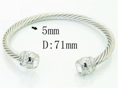 HY Wholesale Bangles Stainless Steel 316L Fashion Bangle-HY38B0738HLD