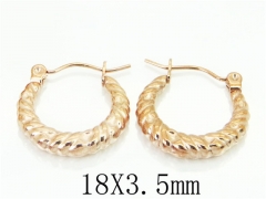 HY Wholesale Earrings 316L Stainless Steel Fashion Jewelry Earrings-HY70E0758LS
