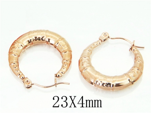 HY Wholesale Earrings 316L Stainless Steel Fashion Jewelry Earrings-HY70E0768LQ