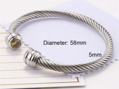 HY Wholesale Bangle Stainless Steel 316L Jewelry Bangle-HY0116B093