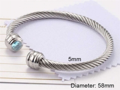 HY Wholesale Bangle Stainless Steel 316L Jewelry Bangle-HY0116B085