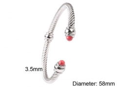 HY Wholesale Bangle Stainless Steel 316L Jewelry Bangle-HY0116B016