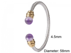 HY Wholesale Bangle Stainless Steel 316L Jewelry Bangle-HY0116B031