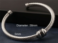 HY Wholesale Bangle Stainless Steel 316L Jewelry Bangle-HY0116B065