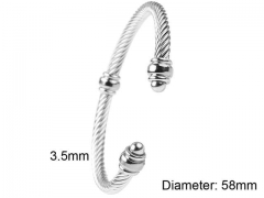 HY Wholesale Bangle Stainless Steel 316L Jewelry Bangle-HY0116B014