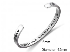 HY Wholesale Bangle Stainless Steel 316L Jewelry Bangle-HY0107B138