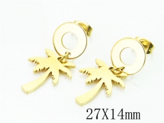 HY Wholesale Earrings 316L Stainless Steel Earrings-HY91E0364MC