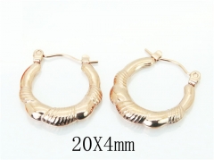 HY Wholesale Earrings 316L Stainless Steel Earrings-HY70E0881LT
