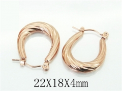 HY Wholesale Earrings 316L Stainless Steel Earrings-HY70E0856LW