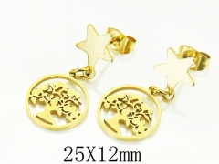 HY Wholesale Earrings 316L Stainless Steel Earrings-HY91E0398MW