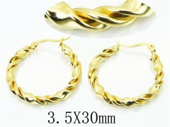 HY Wholesale Earrings 316L Stainless Steel Earrings-HY64E0481MY