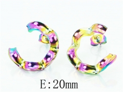 HY Wholesale Earrings 316L Stainless Steel Earrings-HY70E0829LX