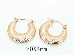 HY Wholesale Earrings 316L Stainless Steel Earrings-HY70E0871LR