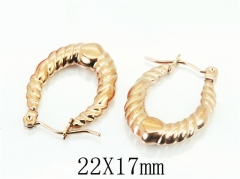 HY Wholesale Earrings 316L Stainless Steel Earrings-HY70E0796LT