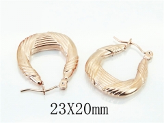 HY Wholesale Earrings 316L Stainless Steel Earrings-HY70E0791LW