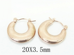 HY Wholesale Earrings 316L Stainless Steel Earrings-HY70E0876LF