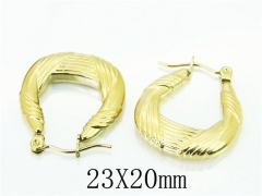 HY Wholesale Earrings 316L Stainless Steel Earrings-HY70E0788LZ