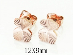 HY Wholesale Earrings 316L Stainless Steel Earrings-HY90E0364PC