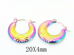 HY Wholesale Earrings 316L Stainless Steel Earrings-HY70E0869LW