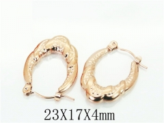 HY Wholesale Earrings 316L Stainless Steel Earrings-HY70E0851LU