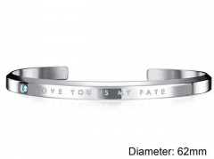 HY Wholesale Bangle Stainless Steel 316L Jewelry Bangle-HY0016D018