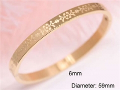 HY Wholesale Bangle Stainless Steel 316L Jewelry Bangle-HY0122B309