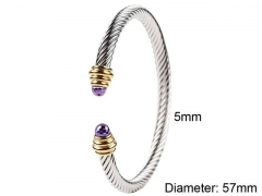 HY Wholesale Bangle Stainless Steel 316L Jewelry Bangle-HY0128B020