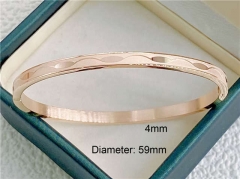 HY Wholesale Bangle Stainless Steel 316L Jewelry Bangle-HY0122B494