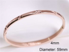 HY Wholesale Bangle Stainless Steel 316L Jewelry Bangle-HY0122B066