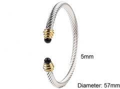 HY Wholesale Bangle Stainless Steel 316L Jewelry Bangle-HY0128B018