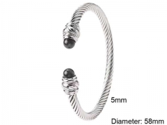HY Wholesale Bangle Stainless Steel 316L Jewelry Bangle-HY0128B132