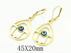 HY Wholesale Earrings 316L Stainless Steel Earrings-HY12E0294KU