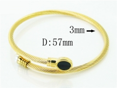 HY Wholesale Bangles Stainless Steel 316L Fashion Bangle-HY38B0758HIC